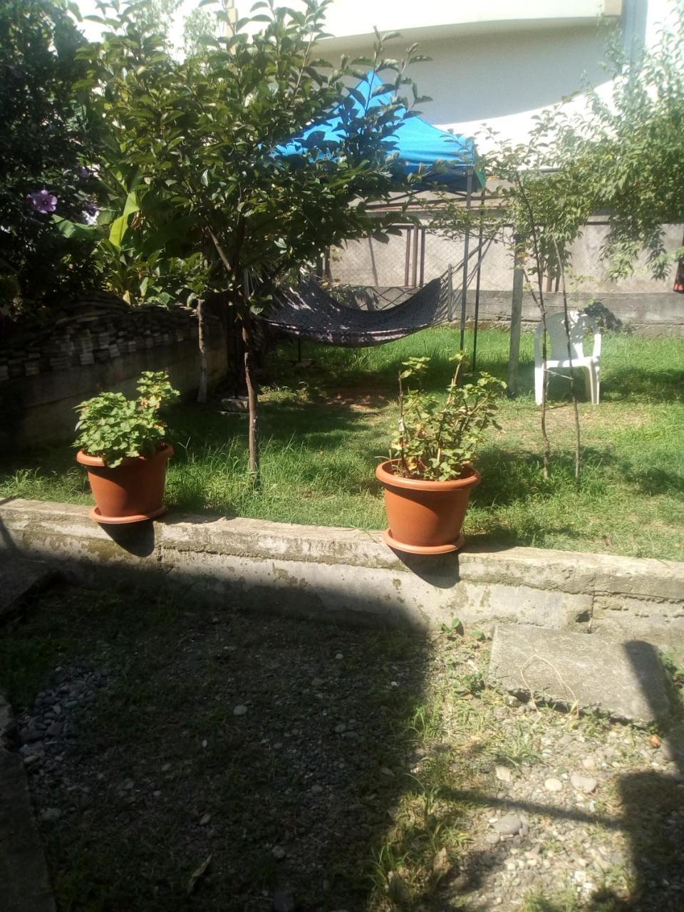 Hotel Kobuleti Egro House Extérieur photo